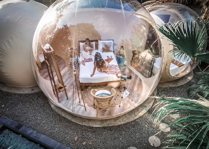 Hotel Satori Bubbles *