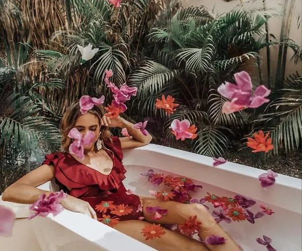 Hotel Satori Bubbles Nosara
